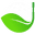 Clean Green Golf Balls