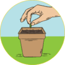 Cow Pots