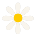 Daisy Cakes
