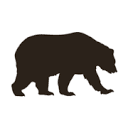 Kodiak Cakes