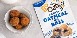 GoOats Blueberry Oatmeal Bites